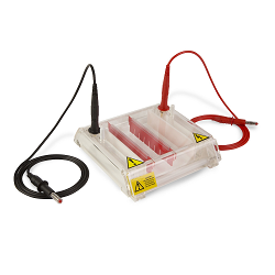 ELECTROPHORESIS